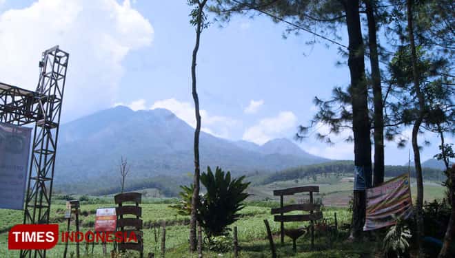 Precet Forest Park, Wisata Alam yang Suguhkan Pemandangan Terindah Gunung Kawi