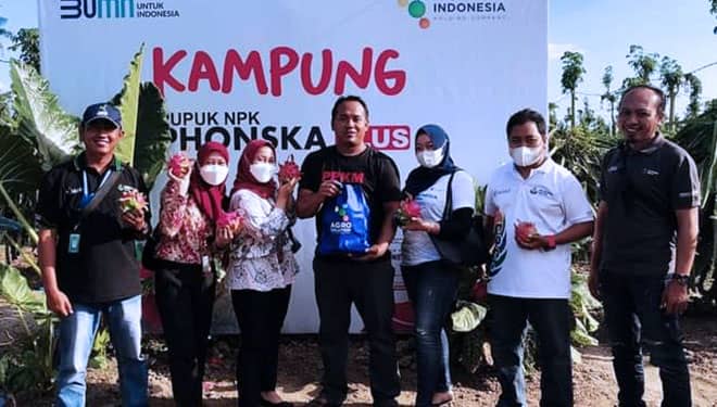 Kisah Petani Buah Naga di Banyuwangi yang Dulu Bingung Beli Mobil, Sekarang?