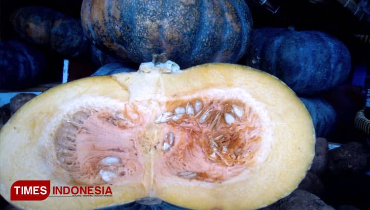 Ini Ragam Manfaat Konsumsi Labu Kuning saat Ramadan‎