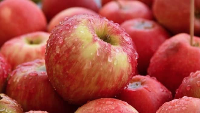Tips Menyimpan Buah, Aman Nggak Lekas Busuk!