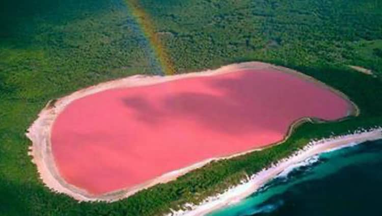 Bak Susu Strawberry, Danau Hillier di Australia Ini Berwarna Pink