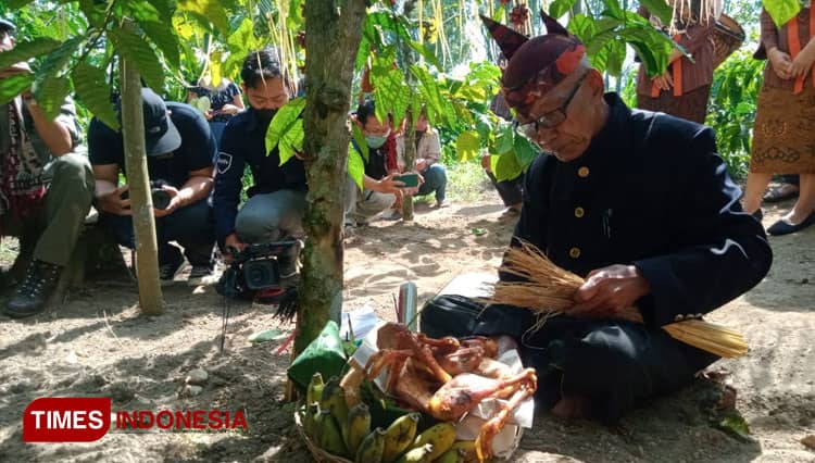 Manten Kopi, Upaya Lestarikan Tradisi Leluhur Kebun Kopi Karanganyar Blitar