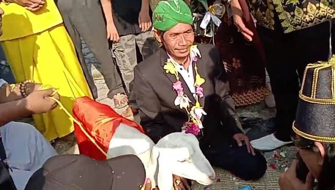 Pria 'Nikahi' Kambing di Gresik Dapat Kecaman