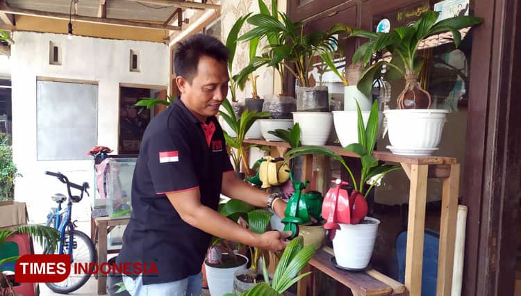 Kreatif, Bonsai Kelapa Disulap Menjadi Miniatur Vespa dan Rumah