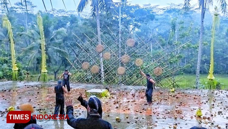 Mengenal Ceprotan Pacitan, Tradisi Lempar Kelapa untuk Mengenang Dewi Sekartaji