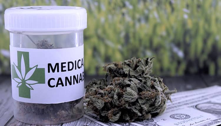 Pemerintah akan Menerbitkan Regulasi Khusus Ganja untuk Kebutuhan Medis
