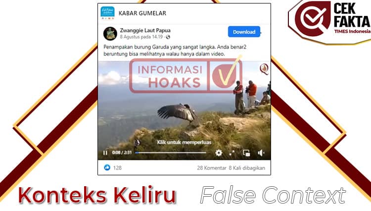 CEK FAKTA: Salah, Video Penampakan Burung Garuda yang Sangat Langka