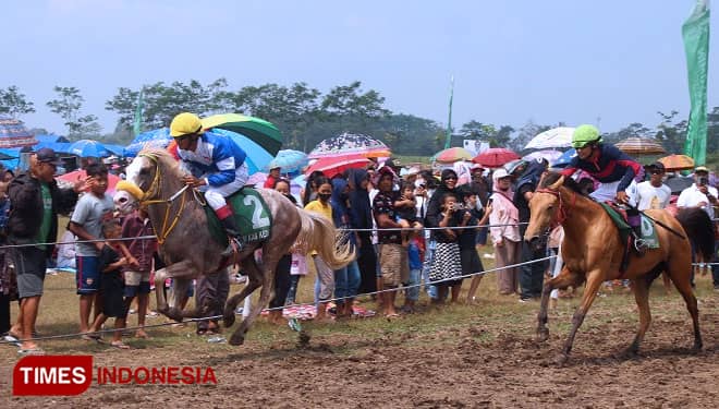 2 Tahun Vakum, Kejuaraan Pacuan Kuda di Kabupaten Kediri Diserbu Peserta