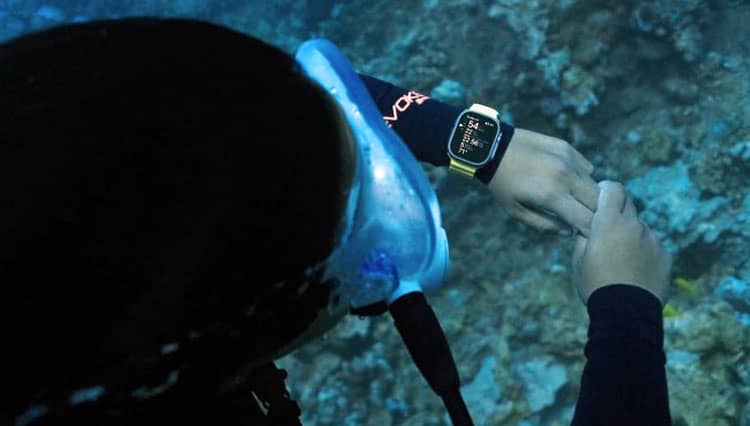 Apple Watch 8 Diluncurkan, Bisa Deteksi Keselamatan Jiwa Hingga Ovulasi Lho
