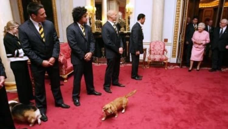Anjing Corgi Kesukaan Ratu Elizabeth II Harganya Meroket