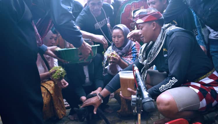 Ritual Ngiring Kucing, Cara Warga Sumber Probolinggo Meminta Hujan yang Berkah