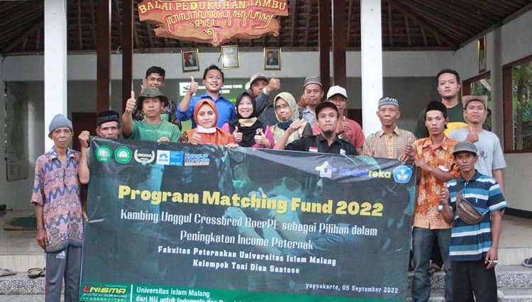 Program Matching Fund 2022, Unisma Malang Adopsi IPTEKS Kambing Croosbreeding