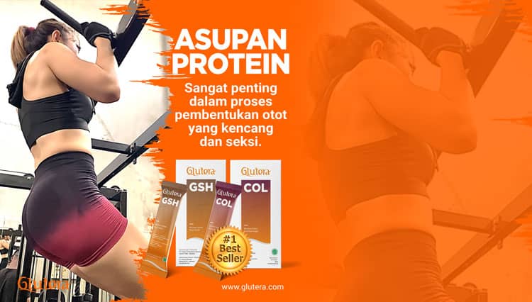Pentingnya Protein untuk Membentuk Otot Kencang dan Seksi