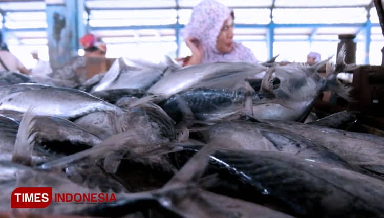 Harga Ikan Laut Mahal Dampak Nelayan Tak Melaut karena Cuaca Ekstrem di Probolinggo