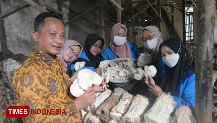 Pendampingan Budidaya Jamur Tiram Mekar Asri, Rintisan Wirausaha Mahasiswa Pendidikan Biologi Unipma Madiun