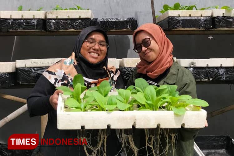 Sobat Keboen dari Unisma Malang, Wadah Pembudidaya Hidroponik Rakit Apung Manfaatkan Styrofoam Bekas
