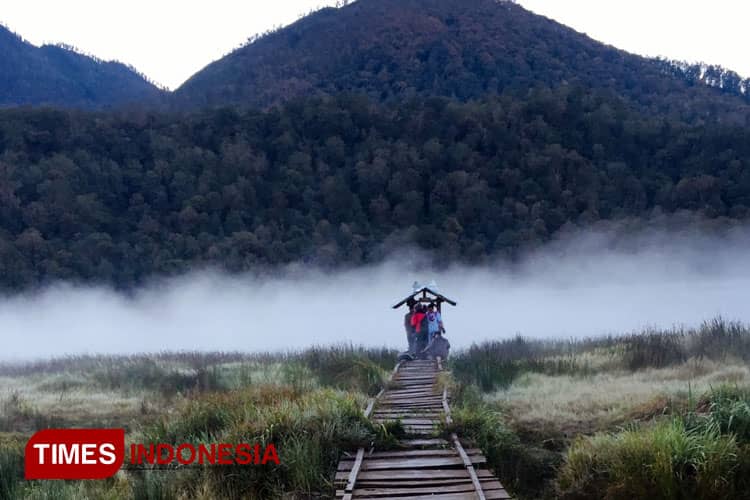Trek Pendakian Terpanjang di Pulau Jawa Hanya di Gunung Argopuro, Ini Jalurnya