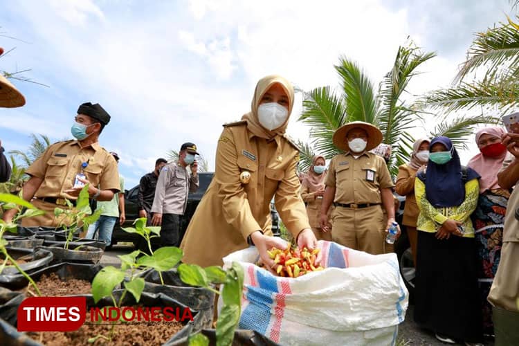 Stok Pangan di Banyuwangi Dipastikan Aman Selama Ramadan 2023 hingga Lebaran
