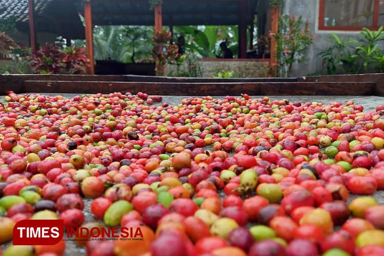 Banyuwangi Wine Coffee, When the Coffee Meets Wine