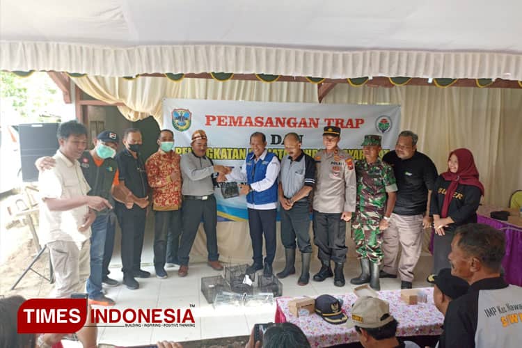 Dinkes Pacitan dan Warga Kompak Basmi Tikus, Tekan Angka Leptospirosis 