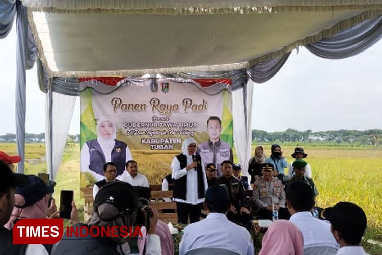 Gubernur Jatim Hadiri Momentum Mulai Panen Padi Satu Juta Hektare di Tuban