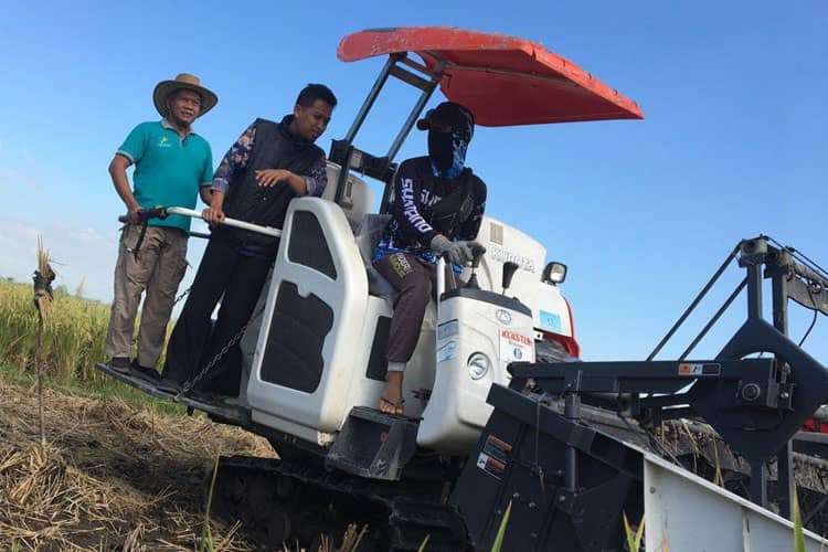 Polbangtan Malang Dukung Panen Padi Nusantara Satu Juta Hektare