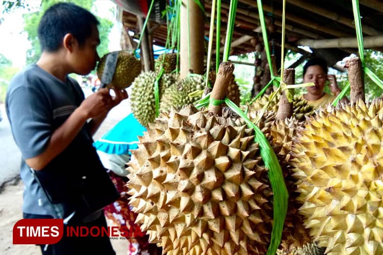 Probolinggo Juara Dua Produksi Durian, Ini Kecamatan Penyumbang Terbesar