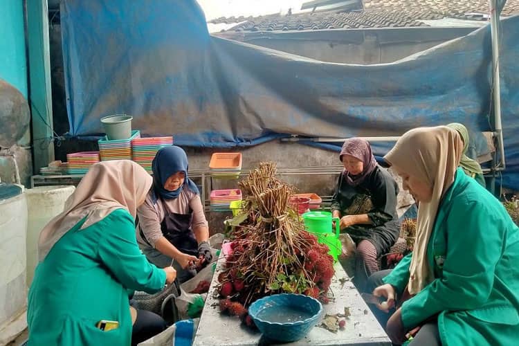 Pendampingan Proses Pembuatan Kripik Rambutan oleh KSM Unisma Malang
