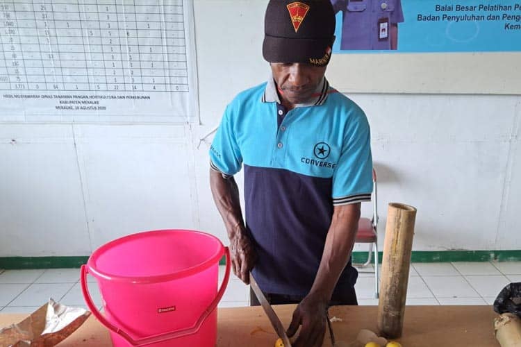 Kementan Tingkatkan SDM Petani Merauke Melalui Pelatihan Vokasi Budidaya Cabai 