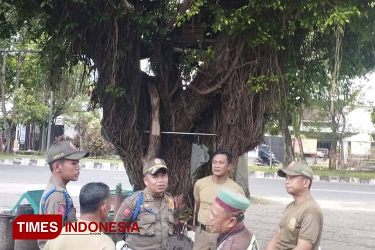 Rumah Pohon di Jalan Raya Langsep Kota Malang Dibongkar