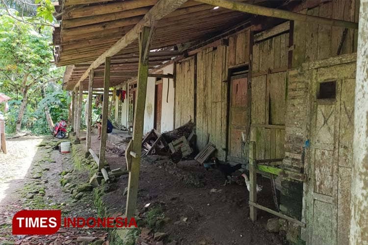 Hidup Sebatangkara, Rumah Janda Tua di Pacitan Jauh dari Kata Layak