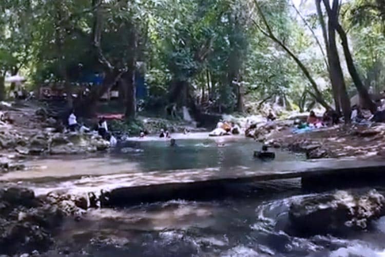 Sendang Grogolan Dander, Kejernihan Airnya Bikin Betah untuk Berendam