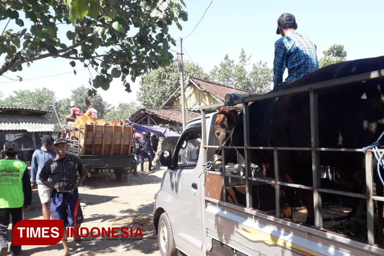 Warga Bondowoso Diminta Waspada Penyakit Ternak Jelang Idul Adha