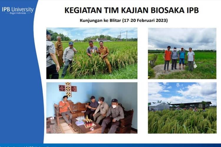 Tim IPB: Biosaka Harus Disertai Pupuk Organik, Anorganik, Hayati untuk Menjaga Ketersediaan Hara Tanah
