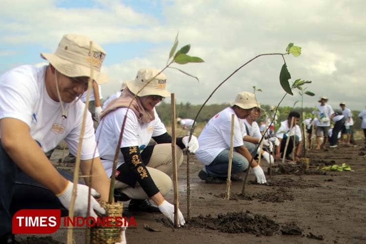 Pantai Parang Semar Banyuwangi Makin Hijau dan Asri