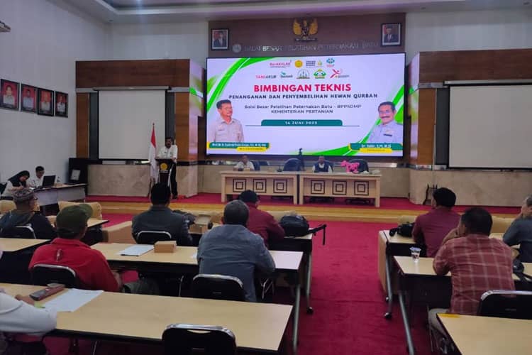 Jelang Idul Adha 1444 H, Kementan RI Gelar Bimtek Penanganan dan Penyembelihan Hewan Kurban