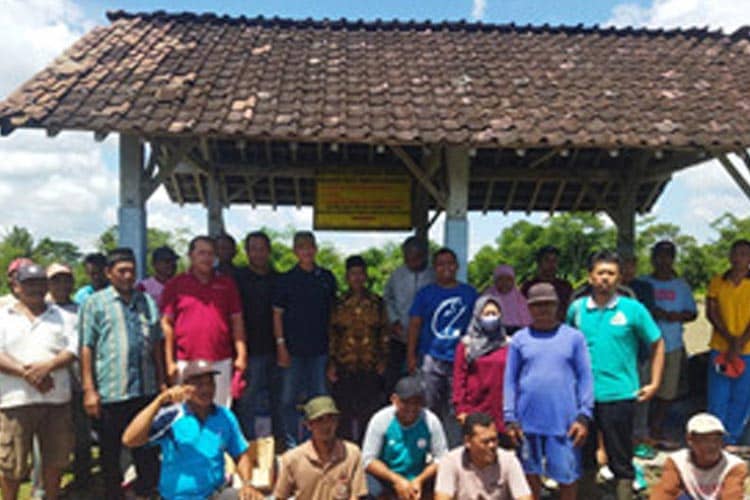 Metode Demplot Budidaya Padi Sehat untuk Tingkatkan Keterampilan Petani di Blitar