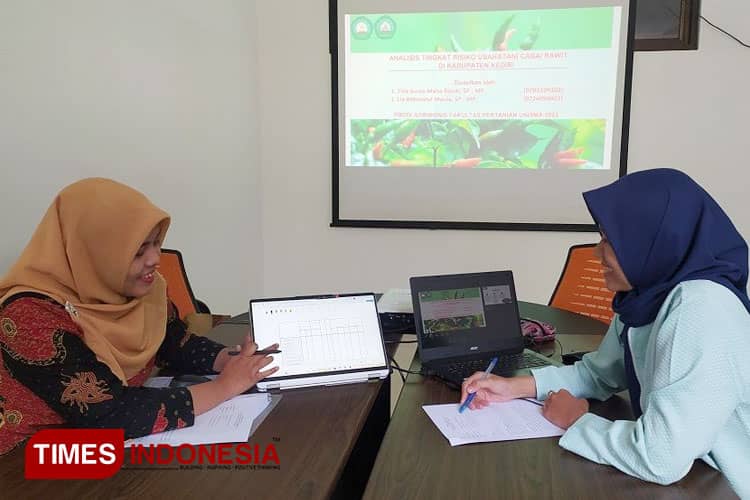 Dosen Agribisnis Unisma Malang, Teliti Risiko Usahatani Cabai Rawit