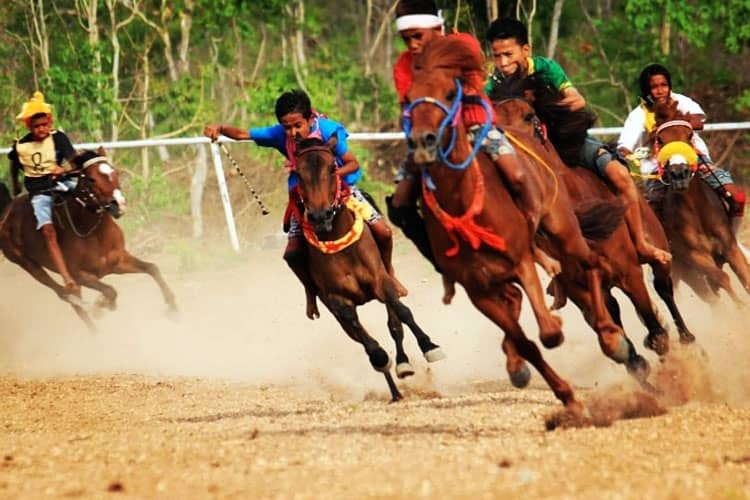 Pacuan Kuda Bagi Orang Sumba Timur adalah Ajang Persahabatan dan Popularitas