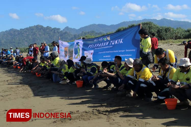 Hari Konservasi Alam Nasional, PT BSI Lepas Liarkan Ratusan Tukik