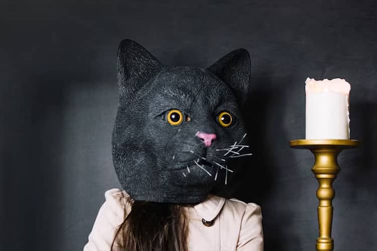 Kekuatan Mistis Kucing Hitam: Antara Mitos dan Kebenaran