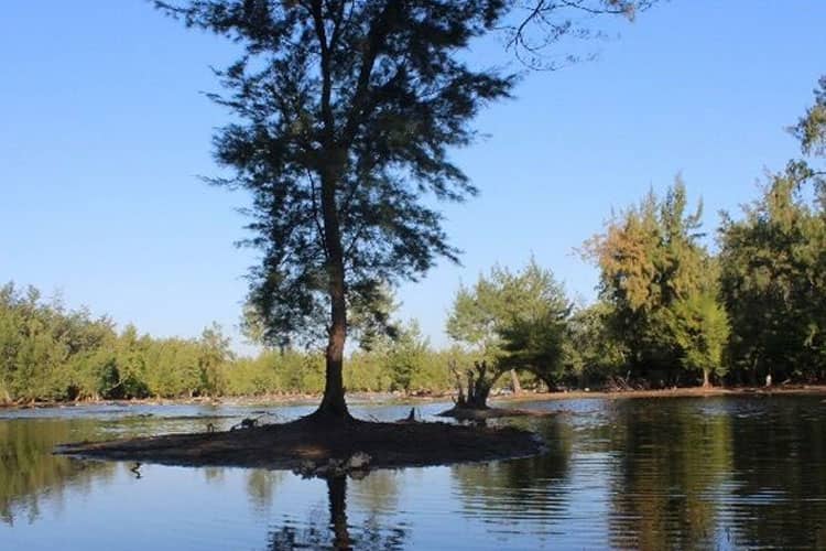 Masih Alami, Danau Laipori Jadi Surga Baru Wisatawan di Sumba Timur