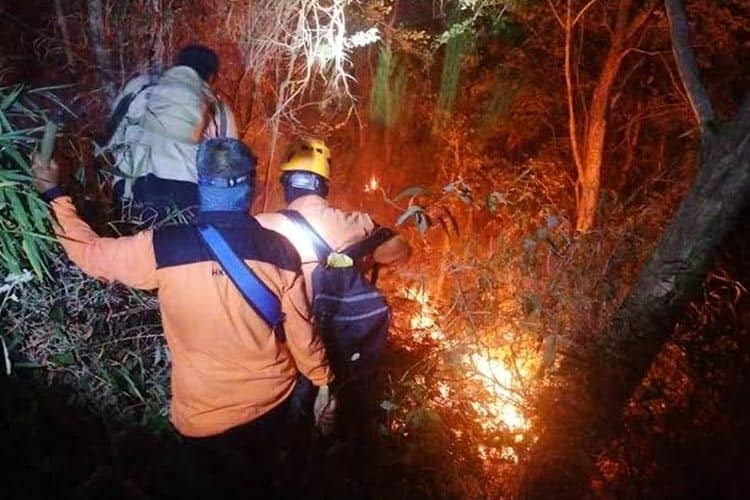 Info Grafis: Kebakaran Hutan di Gunung Ceremai
