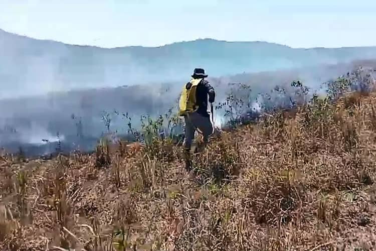 Sekitar 249 Hektare Hutan Rawan Terbakar, Begini Penjelasan Balai TN Matalawa Sumba