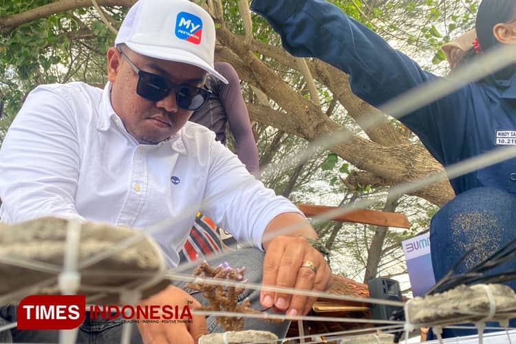 Pertamina Tanam Ratusan Terumbu Karang di Bangsring Underwater Banyuwangi
