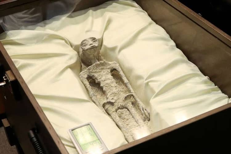 Ilmuwan Meksiko Klaim Temuan Kerangka Mirip Alien: Fakta atau Fiksi?
