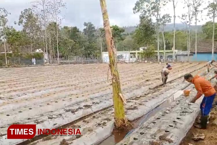 PP Nurud Dhalam Bondowoso Edukasi Santri Jadi Pengusaha melalui Pesantren Menanam