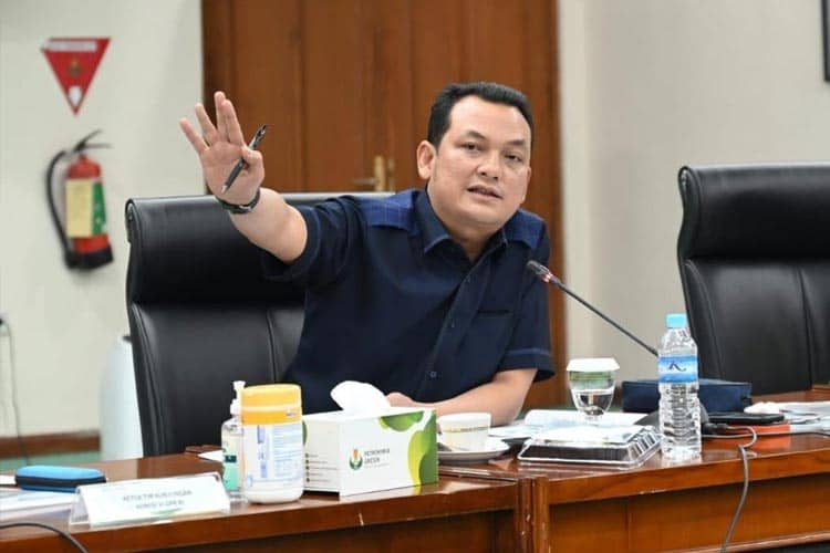 DPR RI Dorong PGE Jaga Kontribusi Positif, Jadi Penggerak Energi Bersih