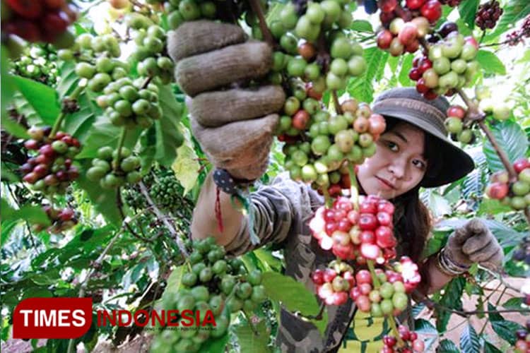 Ingat! PJ Bupati Siap Gaungkan Lagi Bondowoso Republik Kopi