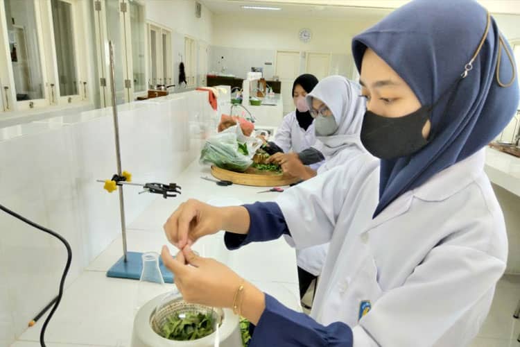 Mahasiswa PKM-RE UNIPMA Ciptakan Health Lotion dari Ekstrak Daun Salam dan Bunga Telang